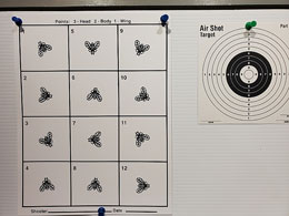 Two men shooting air pistol silhouettes